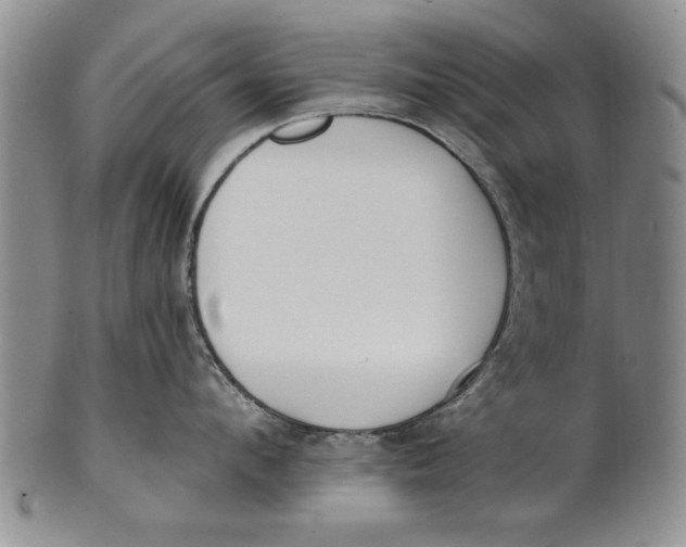 X0000100750912200807101700