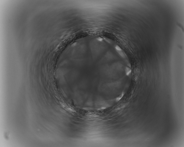 X0000100750913200807101659