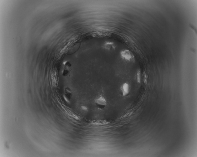 X0000100750915200807101659