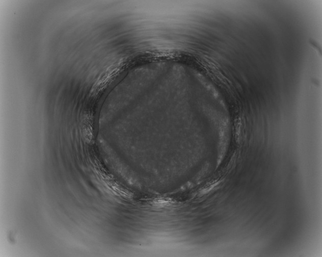 X0000100750916200807101659