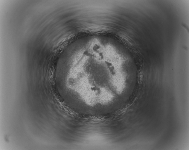 X0000100750917200807101659