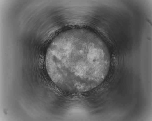 X0000100750918200807101659