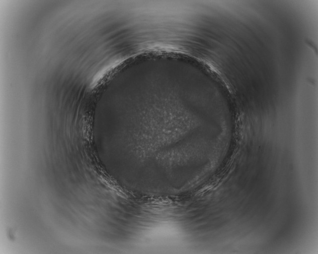 X0000100750919200807101659