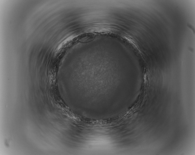 X0000100750920200807101659