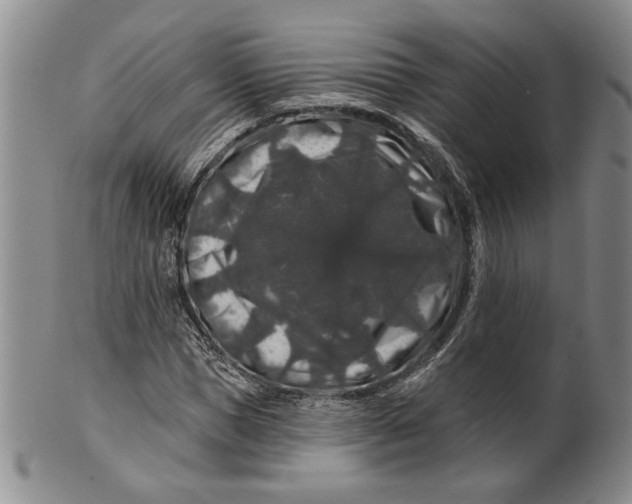 X0000100750921200807101659