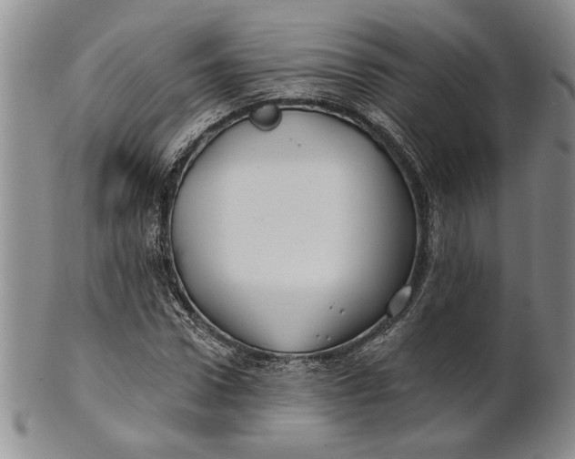 X0000100750922200807101659