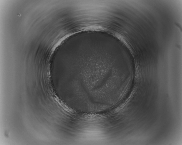 X0000100750923200807101659