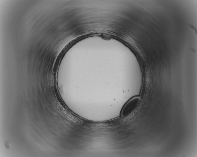 X0000100750924200807101659