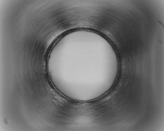 X0000100750926200807101659