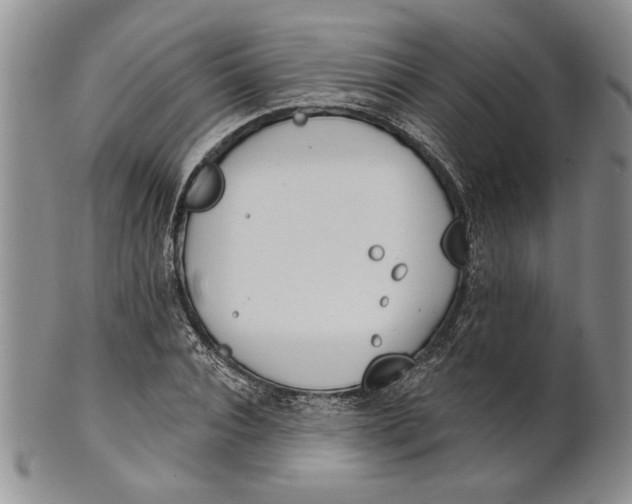 X0000100750928200807101659