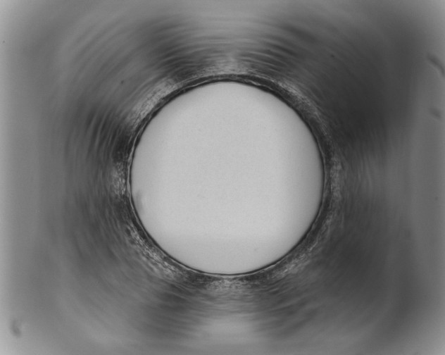 X0000100750929200807101659