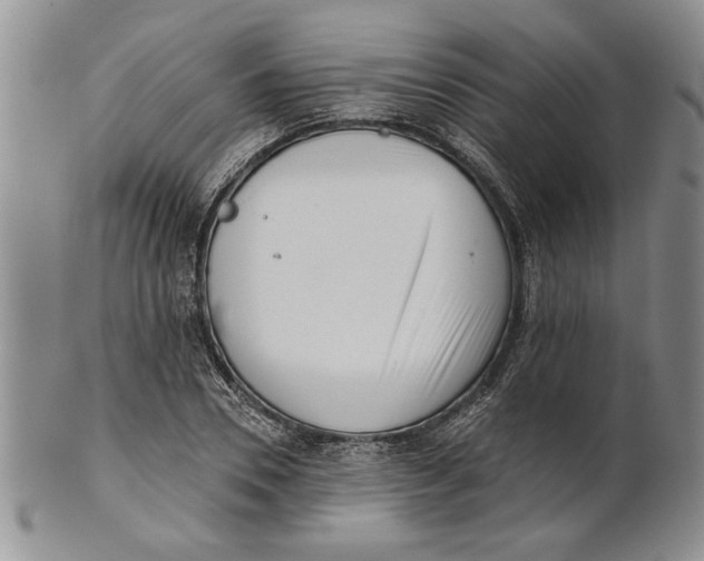 X0000100750930200807101659