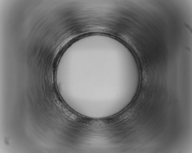 X0000100750931200807101659