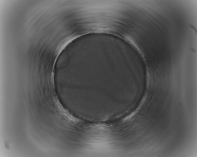 X0000100750932200807101700