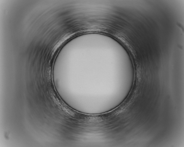 X0000100750933200807101700