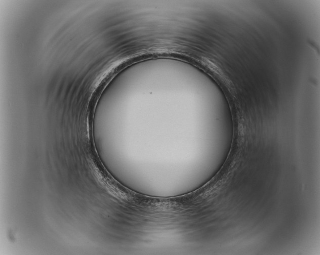 X0000100750934200807101700