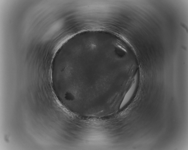 X0000100750935200807101700