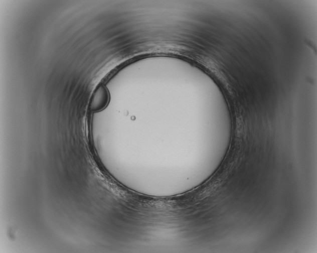 X0000100750936200807101700