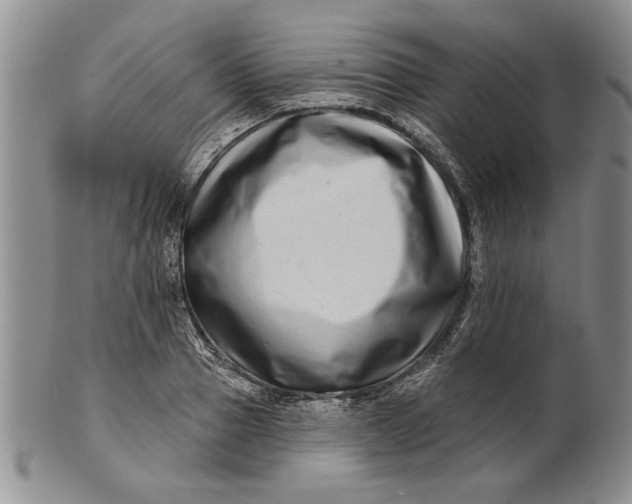 X0000100750937200807101700