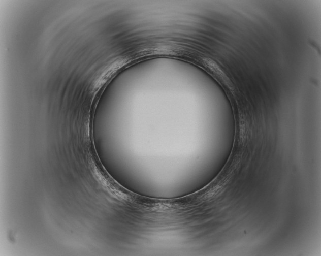 X0000100750938200807101700