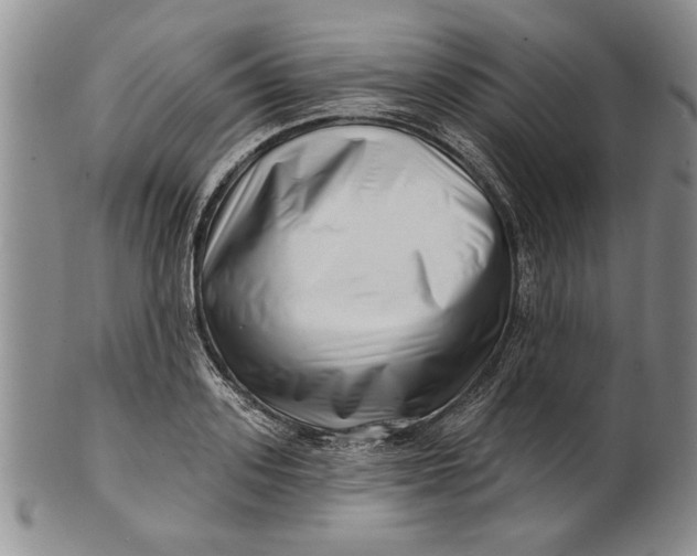 X0000100750939200807101700