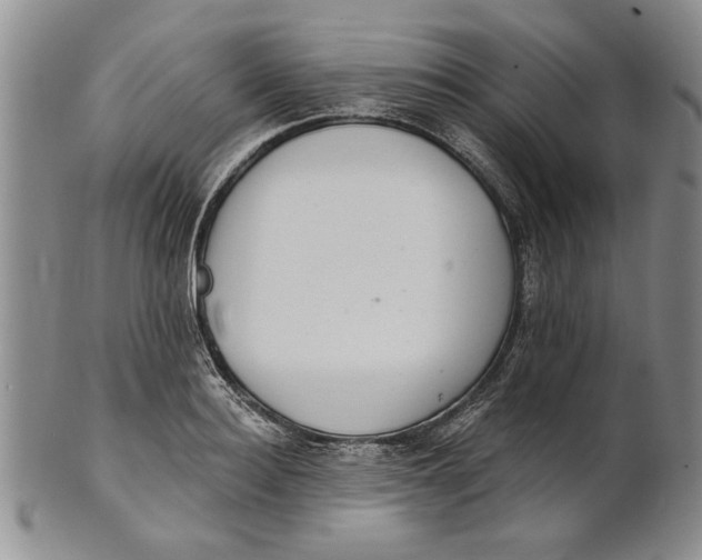 X0000100750940200807101700