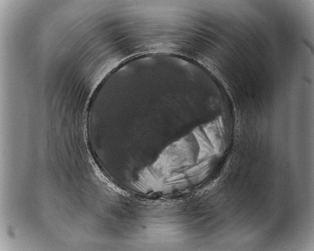 X0000100750941200807101700