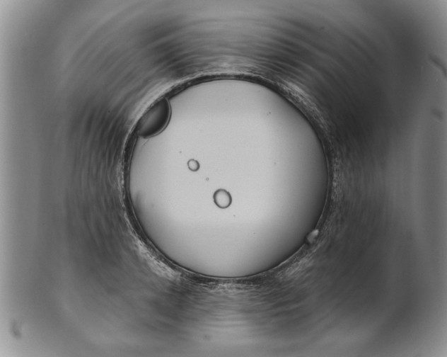 X0000100750942200807101700