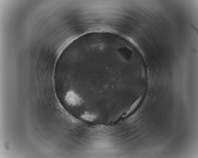 X0000100750943200807101700