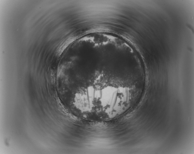 X0000100750945200807101700