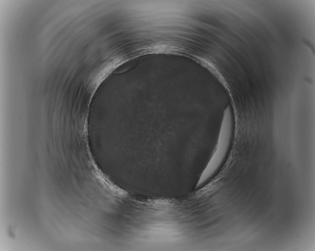 X0000100750946200807101700