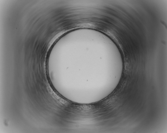 X0000100750947200807101700