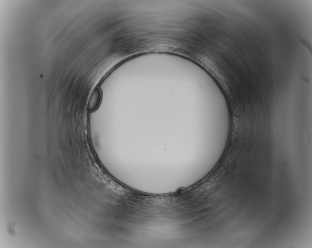 X0000100750948200807101700