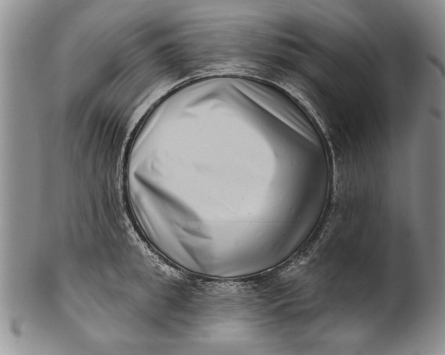 X0000100750949200807101700