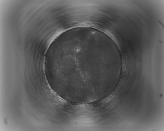 X0000100750950200807101700