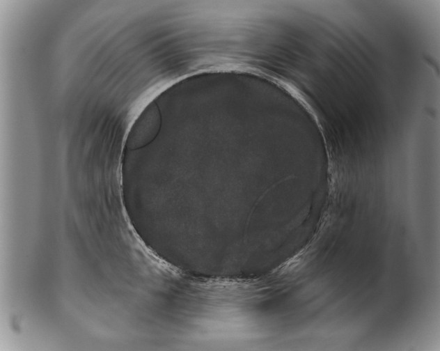 X0000100750951200807101700