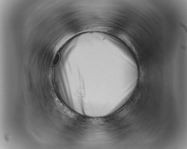 X0000100750952200807101700