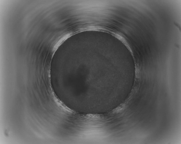 X0000100750954200807101700