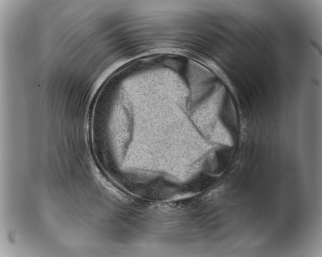 X0000100750955200807101700