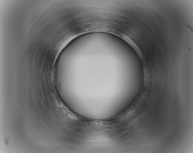 X0000100750956200807101700