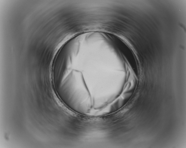 X0000100750957200807101700