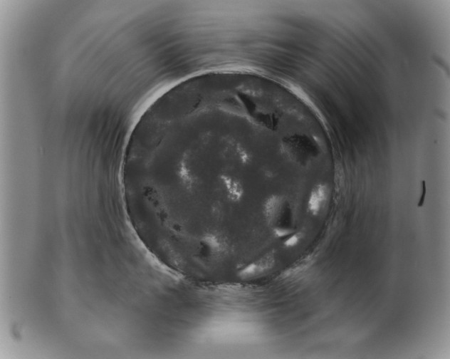 X0000100750959200807101700