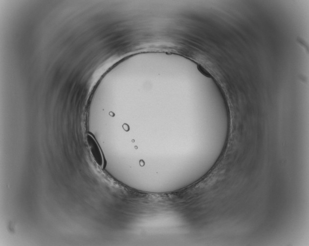 X0000100750960200807101700