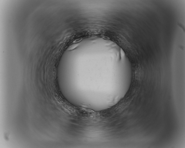 X0000100750961200807101659