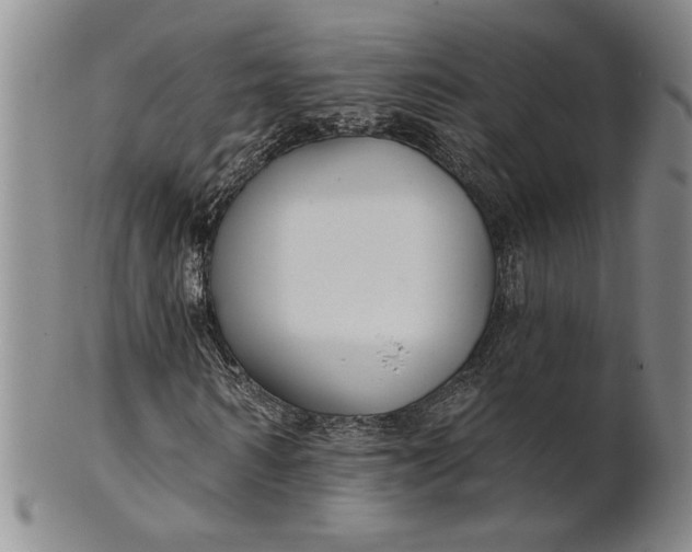 X0000100750962200807101659