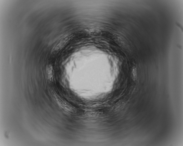 X0000100750963200807101659