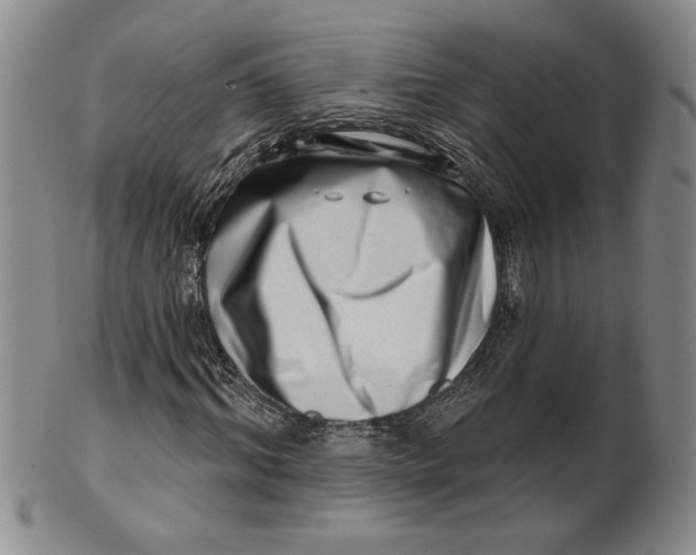 X0000100750964200807101659