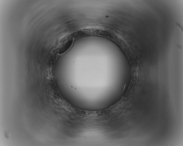 X0000100750965200807101659