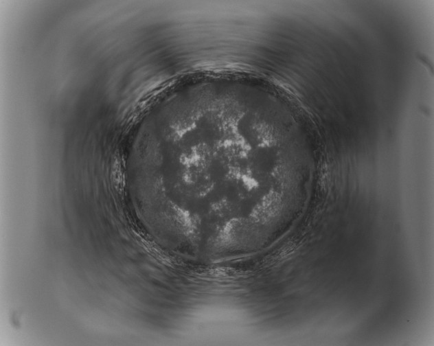 X0000100750966200807101659