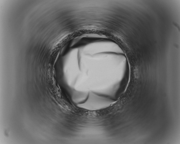 X0000100750968200807101659